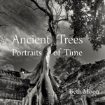 Beth Moon