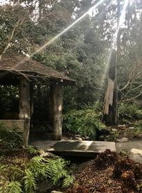 Library Gazebo